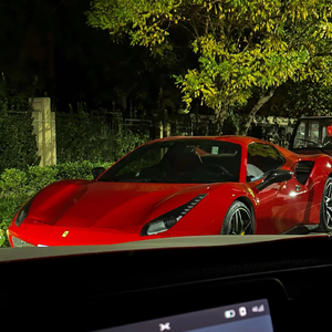 一级A片四川少妇大白奶
